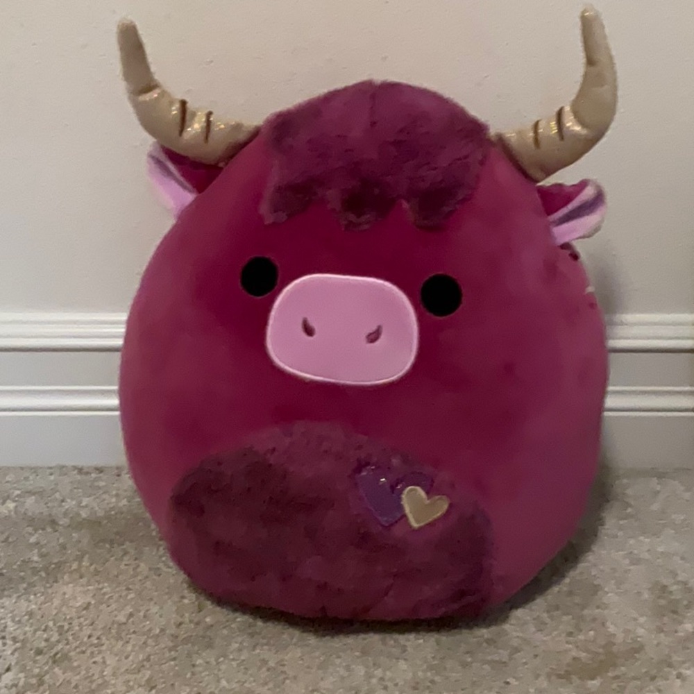 Cutest Squishmallow stuffie!